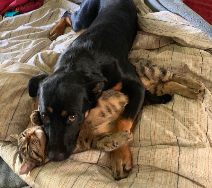 cf40365e7c85cdbdd23b840a10