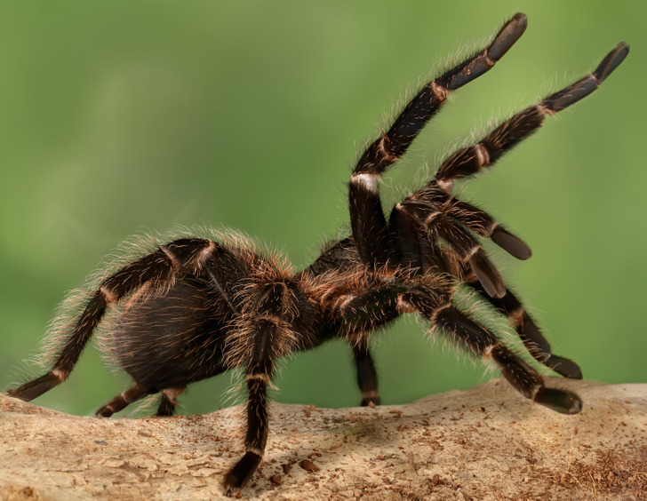 cf409d5104bc641ac25ca49437