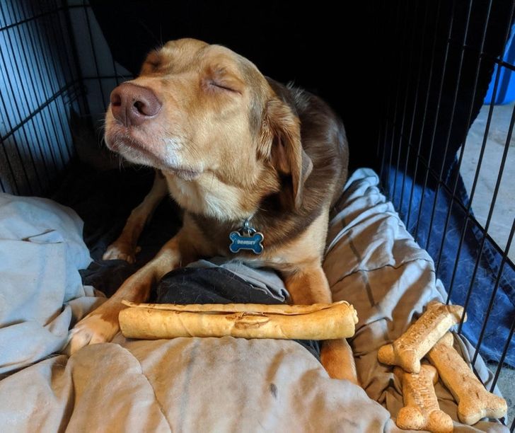 cf41105e80ae68e17ceb64e095