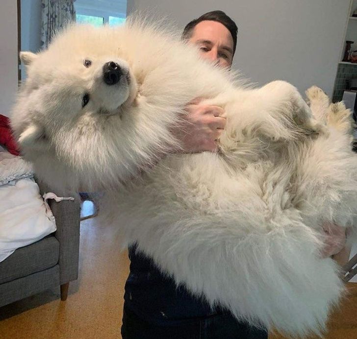 cf448757b4b31a7b751c37c6df cf448757b4b31a7b751c37c6df