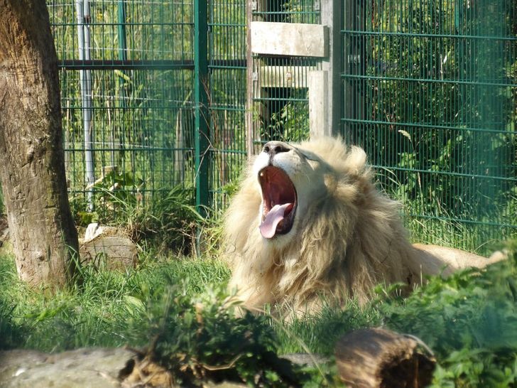 cf462f5099a8da588fc4e54a90