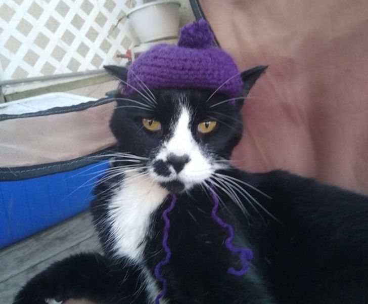 cf4b7354c7a9f3a1903c7b9339