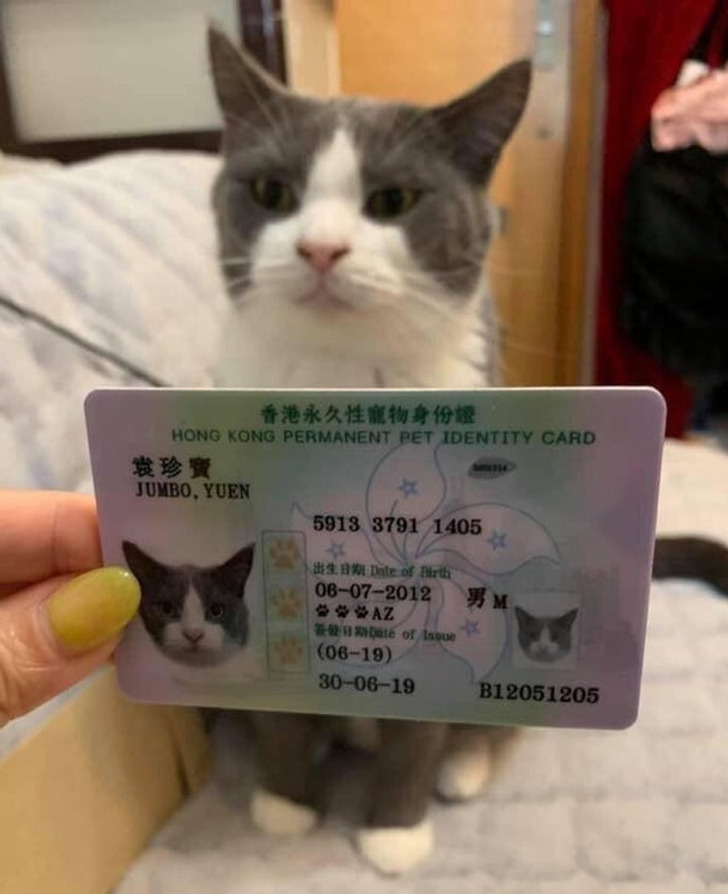 cf5d1556a0b9e595d90a42ecbd