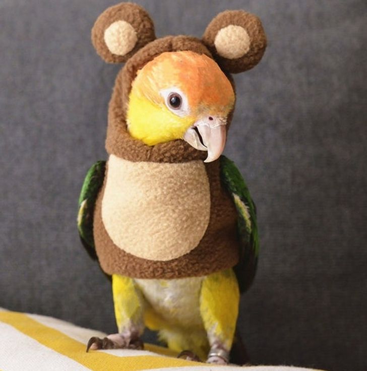 cf65535f90accf8c5f95227c0e