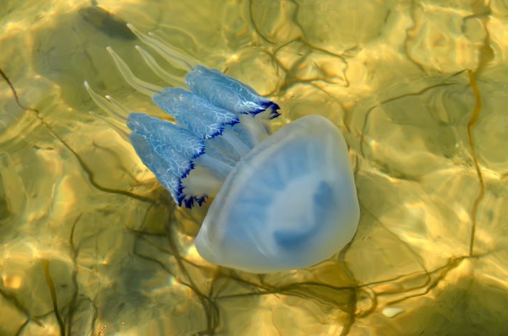 cf75ba5e8881bf94bbdcce7e15