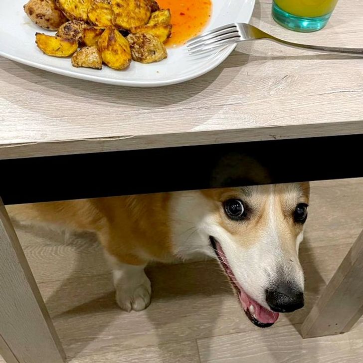 cf767d5a2aaea42ea8a73f203a