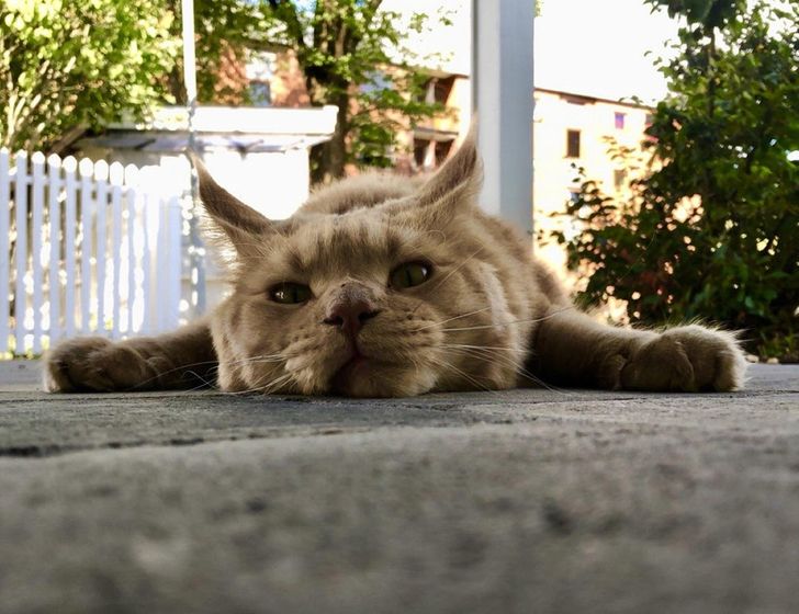 cf791e5d8294e63959a26b45f6