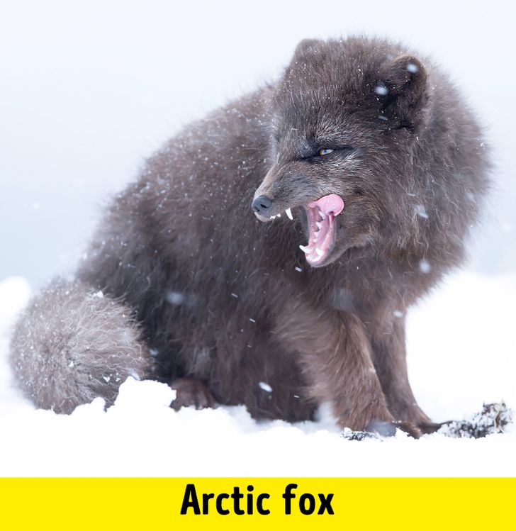 cf7d49598db9db6d65b62e738c