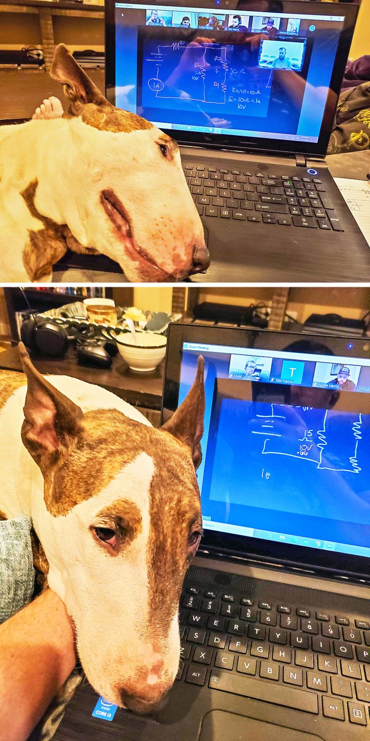 cf8d985a79aab547c9a882ca4c