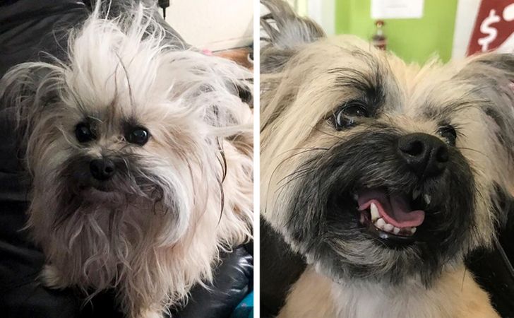 cf8e645ace832b5af22e7d1623