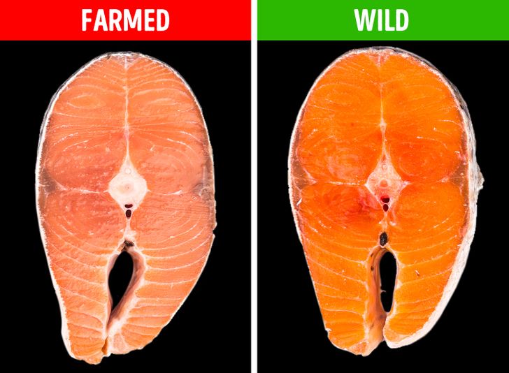 cf9a90594680f5183b06f9b348