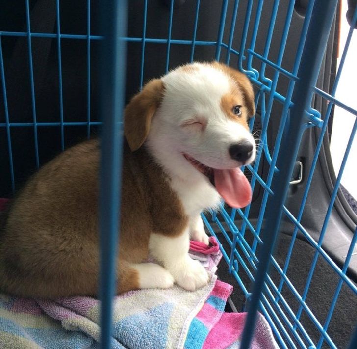 cfa5305425abd92a2a3f8ac5ab