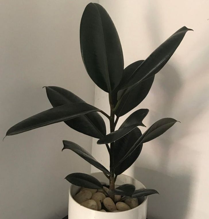 cfa6dc577fbbc91aaefbc3f2ad