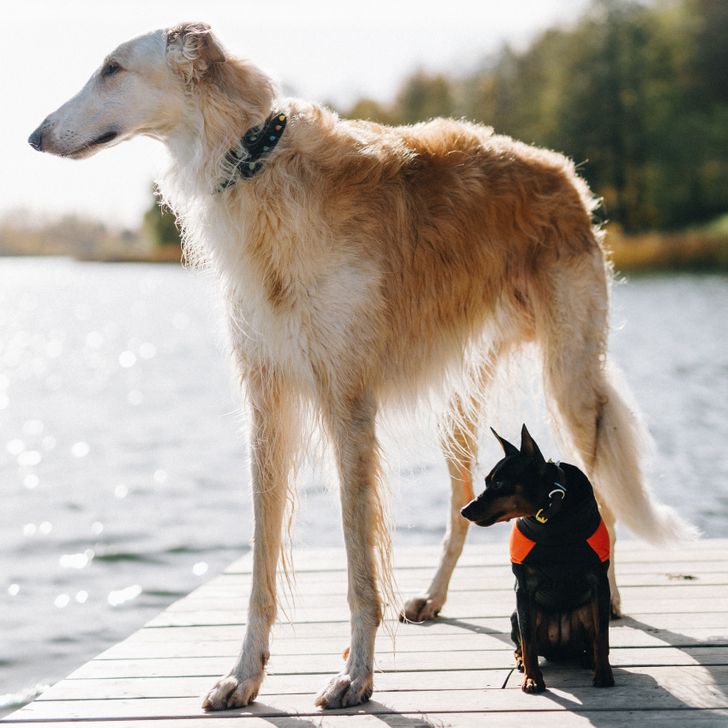 cfae32597cba9f45c646bddfb5