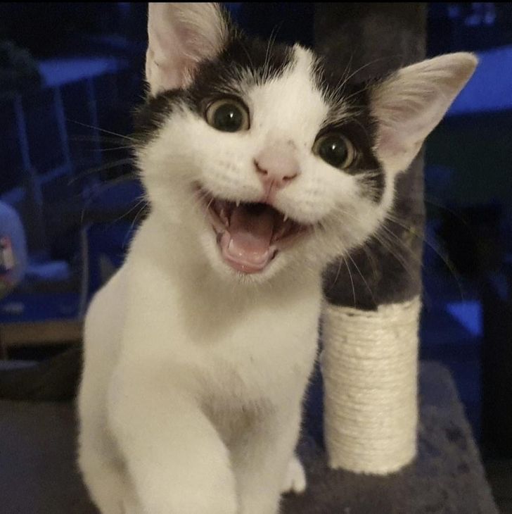 cfb1a15744bba3e7793f34e915