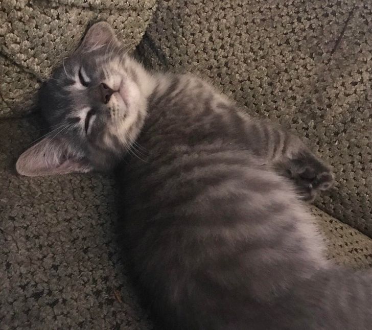 cfb98d5fd189924d926503fe96