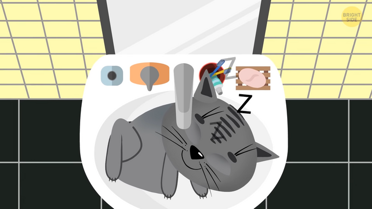 cfbc7c500ab16bd02c6acf2ad7