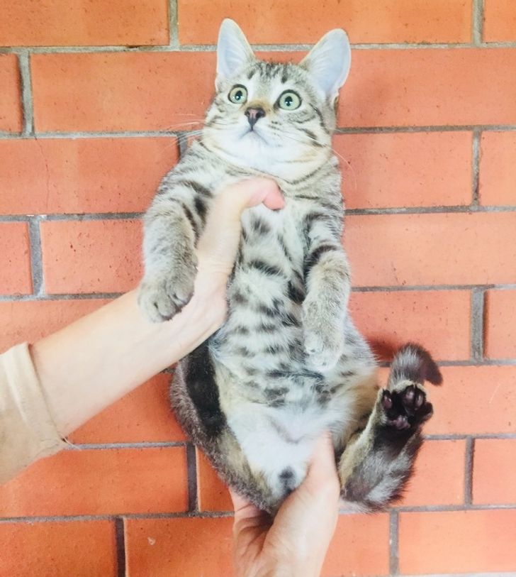 cfc97854d49912f57d2032bc5e