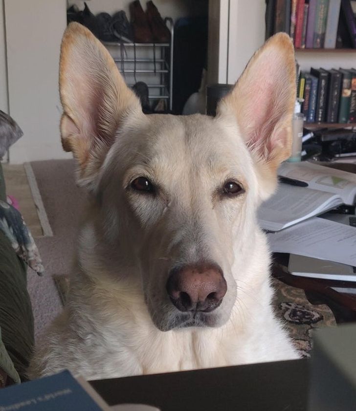 cfcc38546081f7c533f349e402