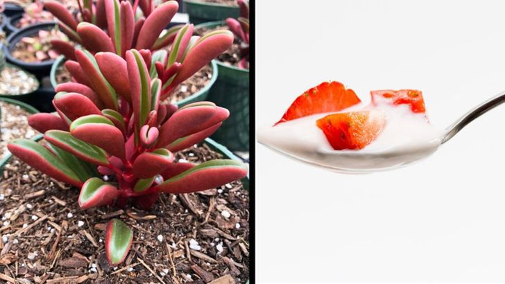 cfd05750938b439c7e3c084f9c