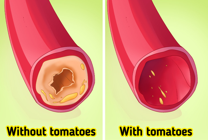 cfd2b45001a6cd52db78a12dcc