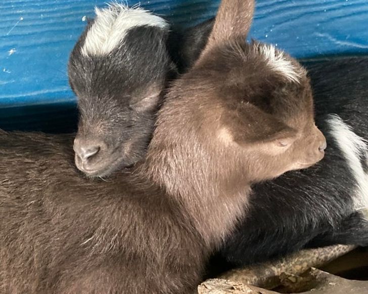 cfd84a51c4acdf183a8f103e96