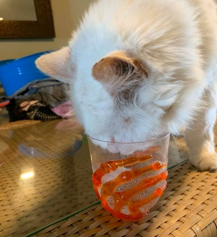 cfdddc5cceb029ec9f80b653a7