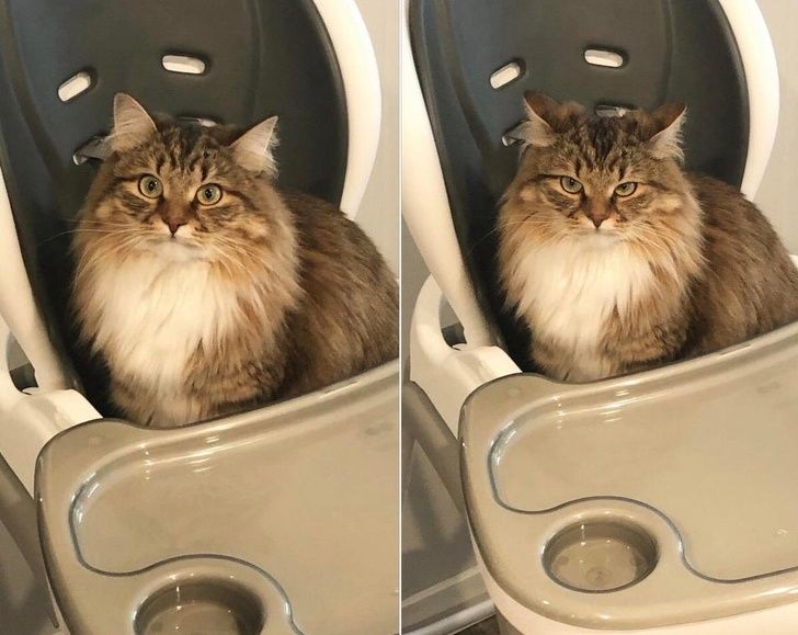 cfe683576c95cbff422e9c6bb7