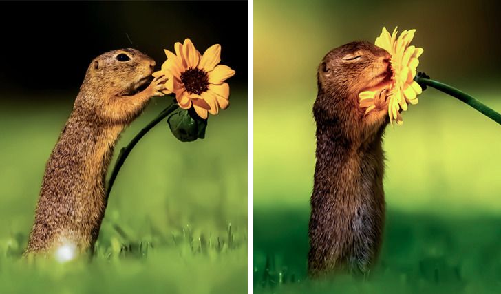 cff5ba587d9fc3539ff9d7e0f8