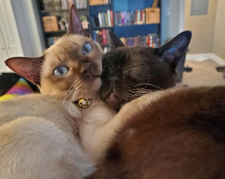 d000235772b5b6152cb257b3e5