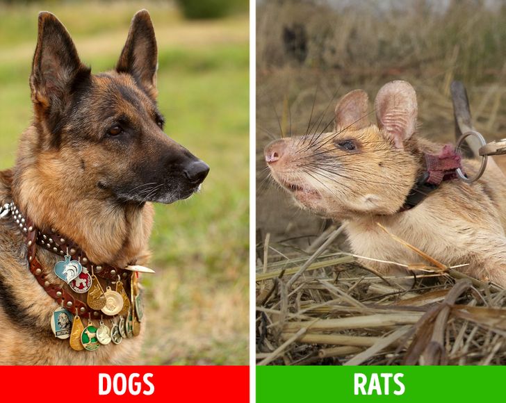 d0030450929c5e1415e60f8bc7