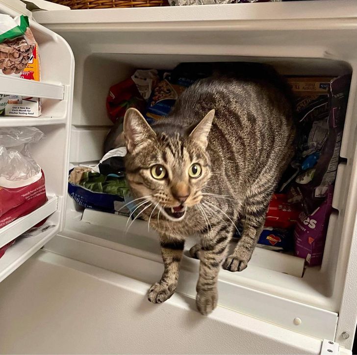 d007855f0a807f3ffa7eba3288