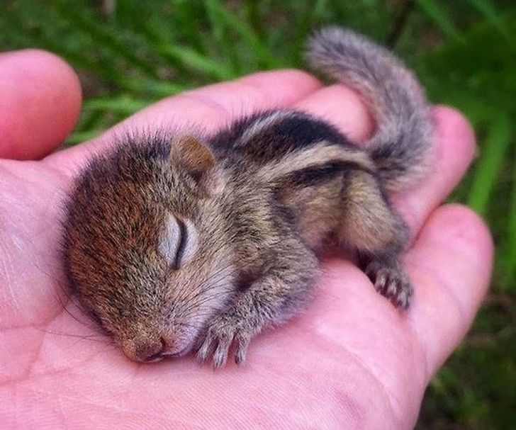 d008c85623a3425a4526f32859