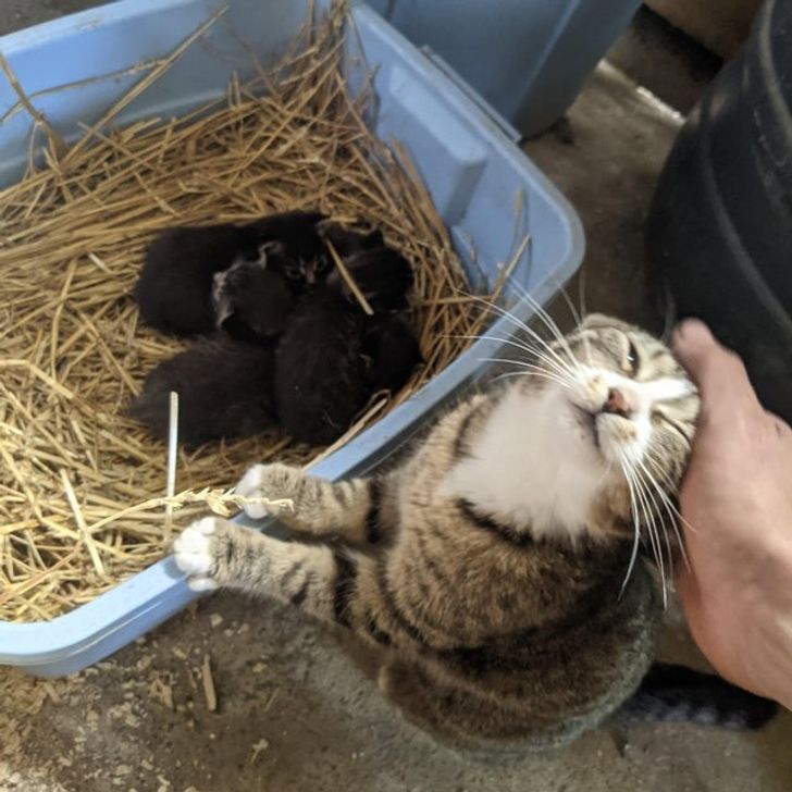 d0101a5d5d8037aac9af99a408