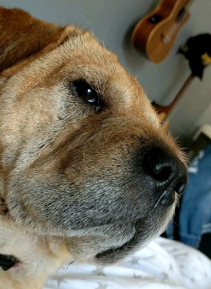 d016415251a6e3463d42d7b42b