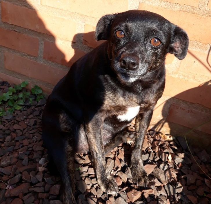 d0169a5a0e829c0d8999b90dfc