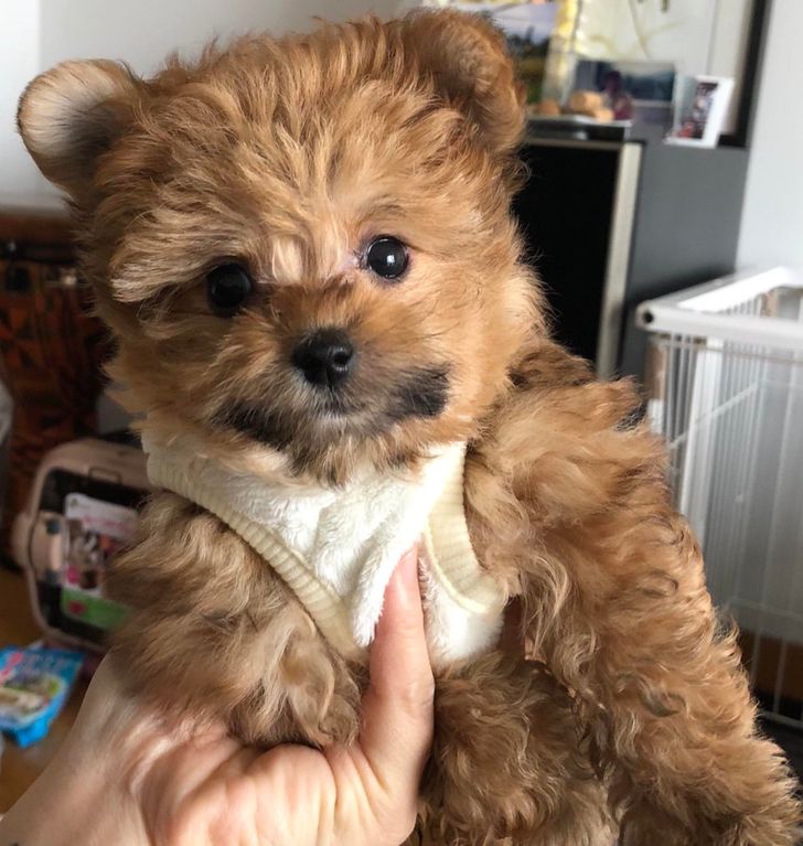 d01c665612b05ea85abf260f0f