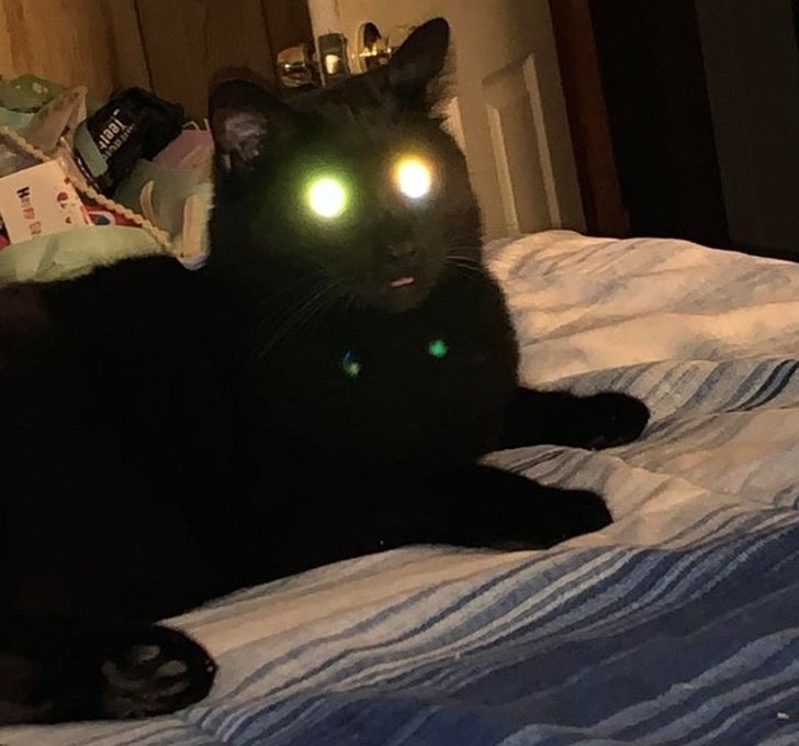 d01d965489b6dee8a6ea685a2e