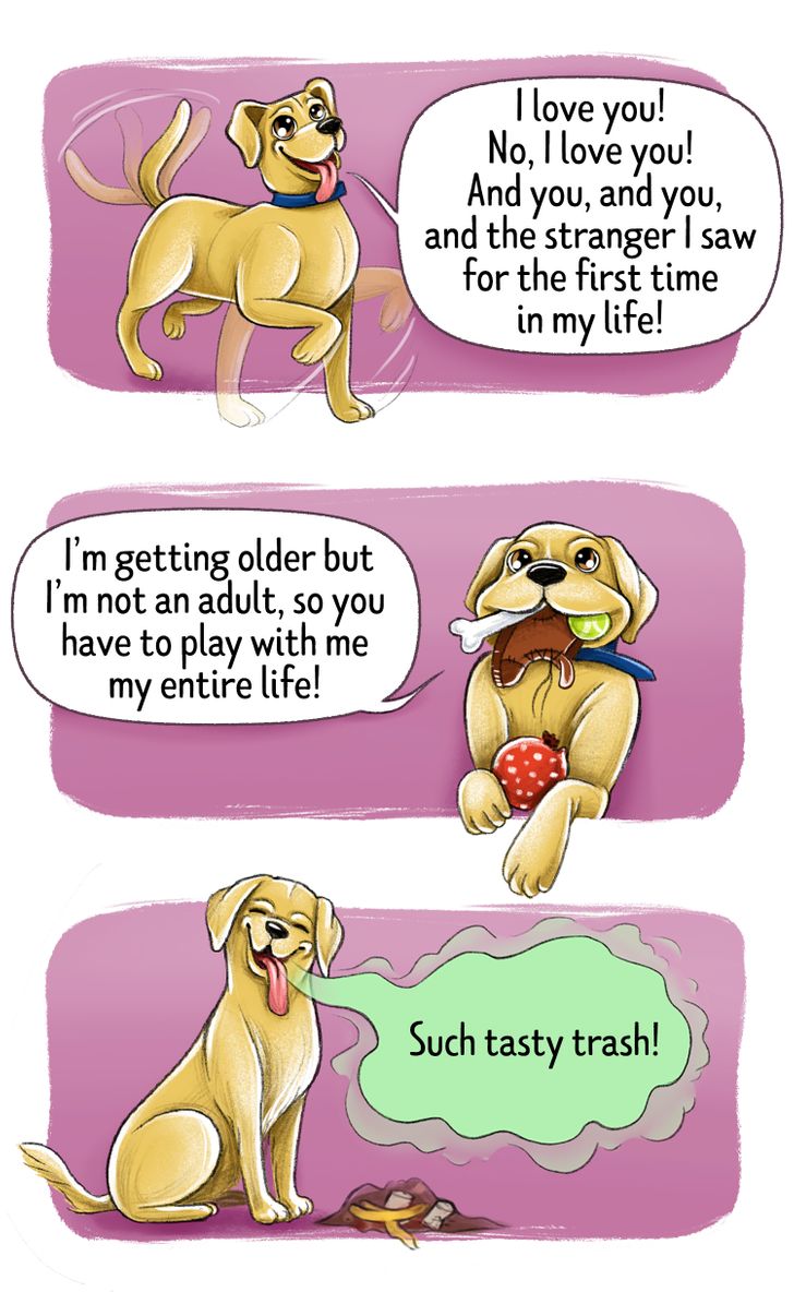 d0220c58b4a9504b561100e6d8 d0220c58b4a9504b561100e6d8