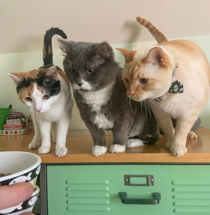 d022d55095a9054c89bcad3481