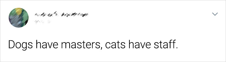 d029de5cf5b7676524ba893024