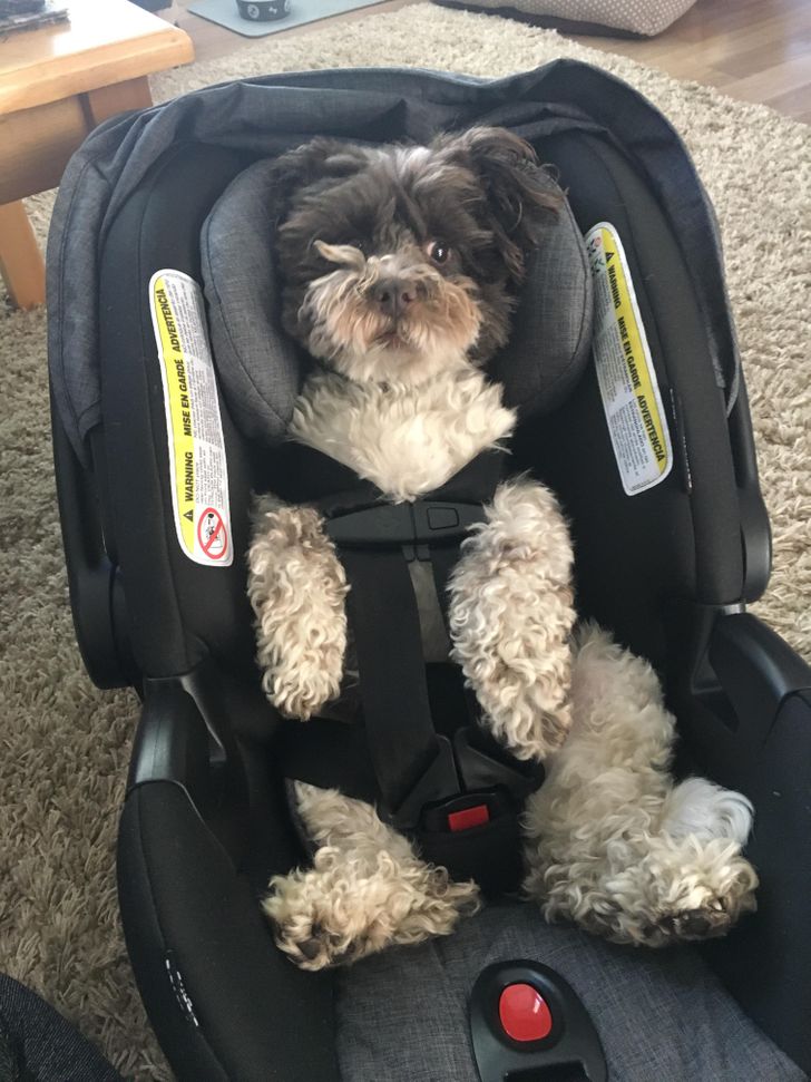 d02b175055adbee402e681ff5f