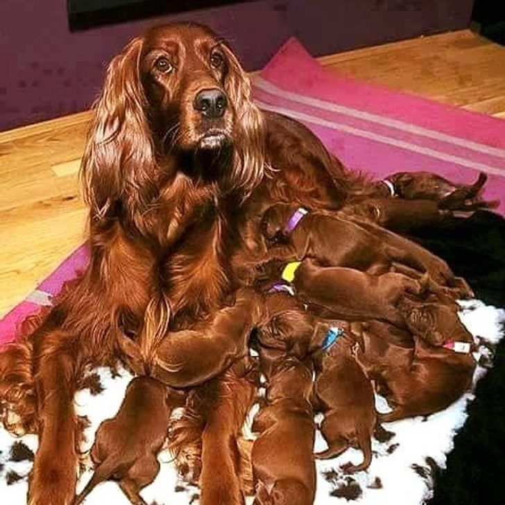 d0334f5cdca3f861a3a349ee3e