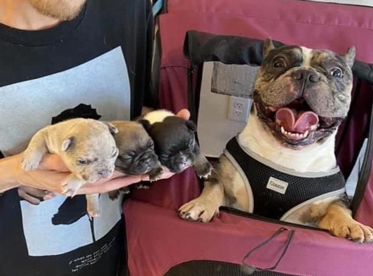 d03d98534ea908b09c0f9e3c93