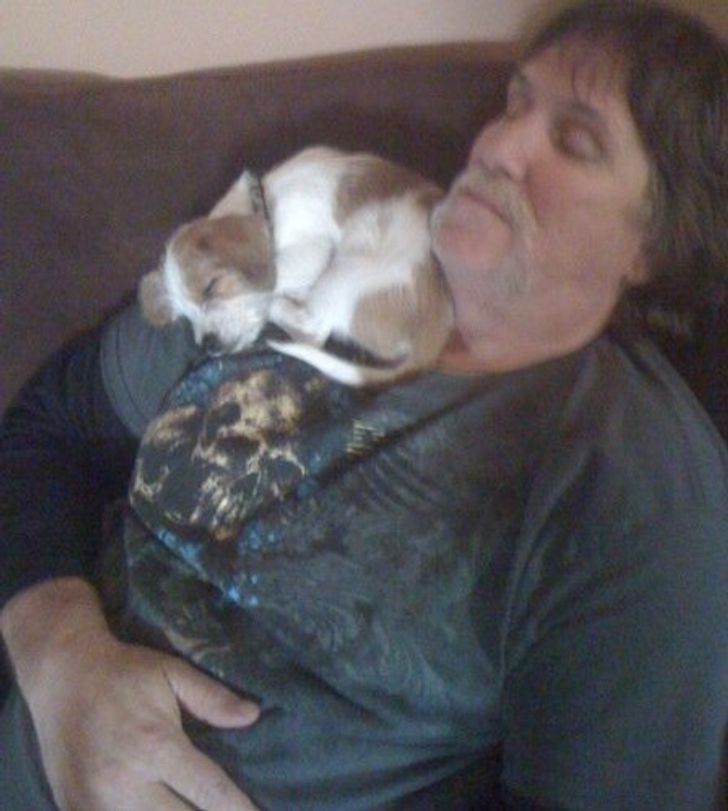 d03f0b577abc1f8ed25dfad439