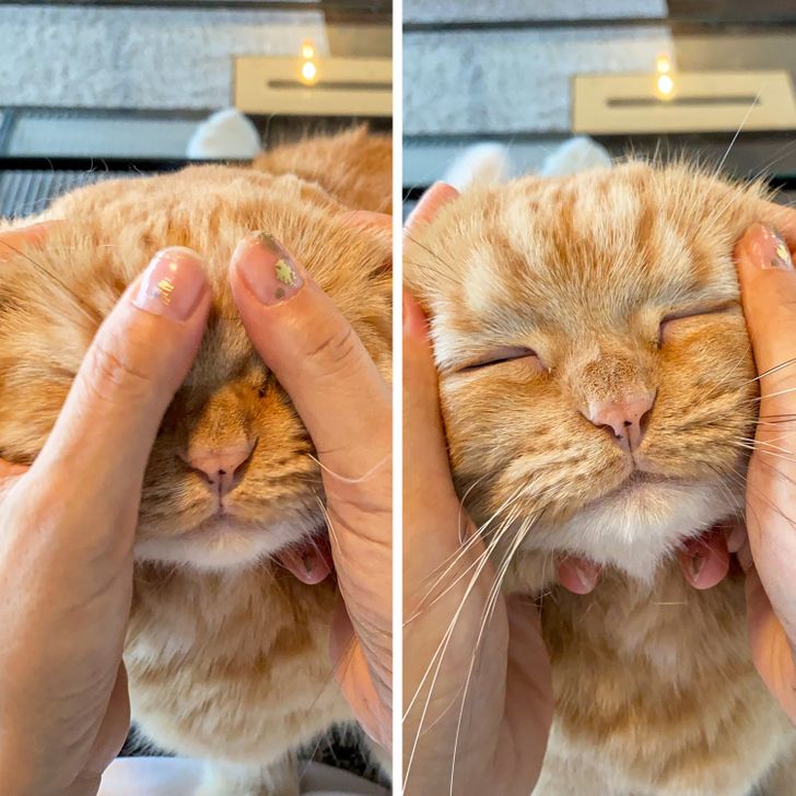 d03f78528c888c3bbb456a9b6f