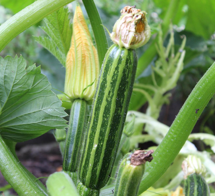 d0404b5bccada6e374c3d32d66