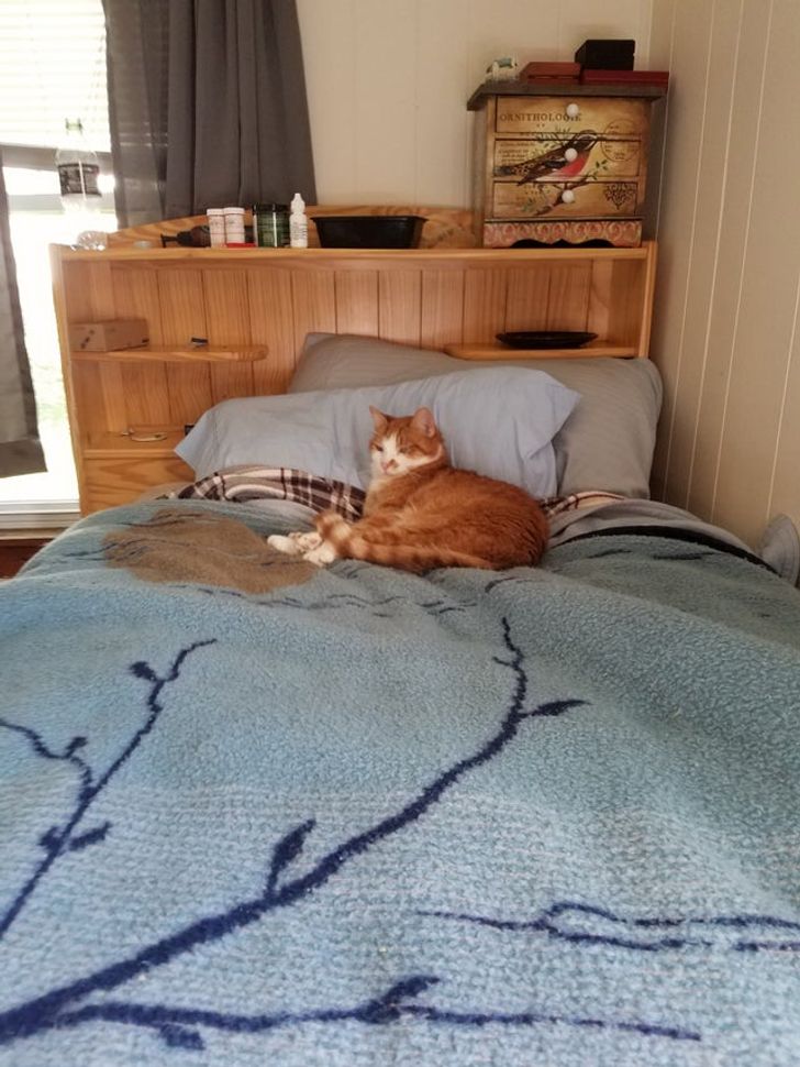 d051ef5d169e76f8876afb6ab4