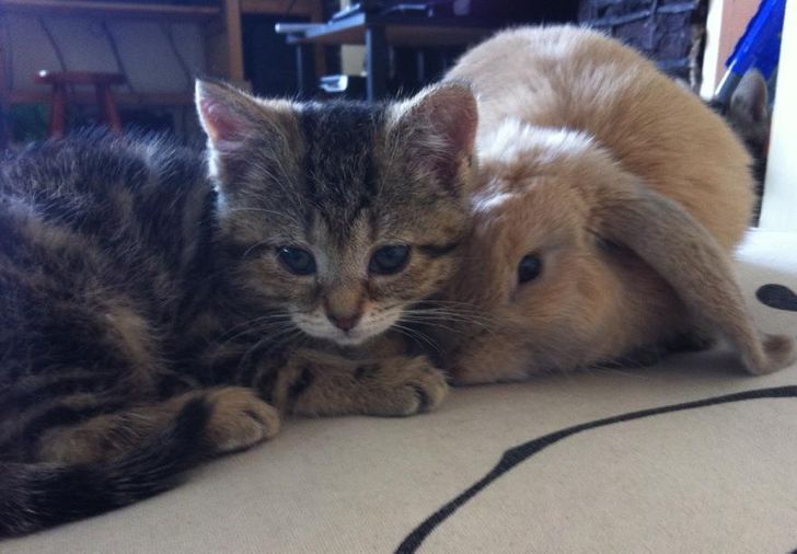 d063715dd0b10597a881c4d6d6