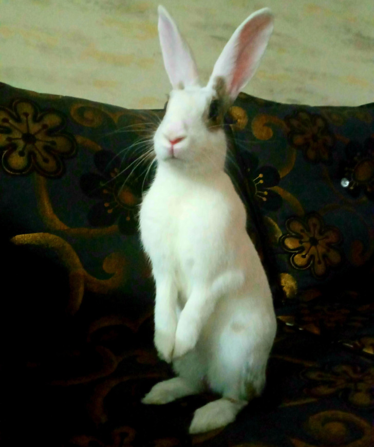 d070f25f22bd1ffe8934187883